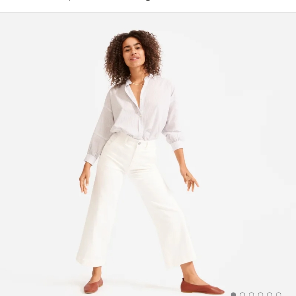 Everlane Wide Leg Crop - Pale Pink